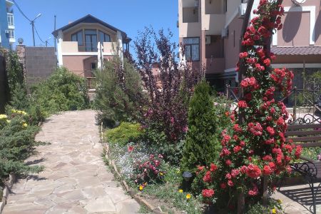 Внешний вид