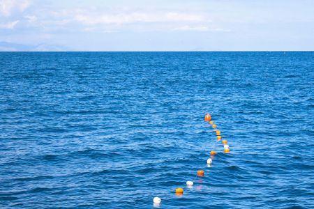 Внешний вид и бассейн