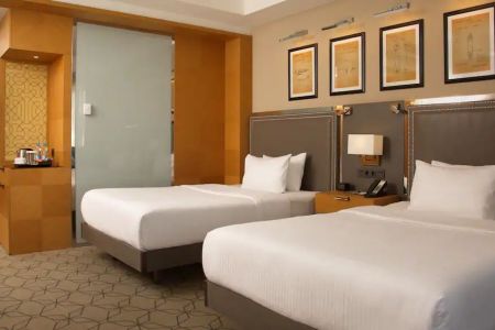 Делюкс 2-местный (TWIN)