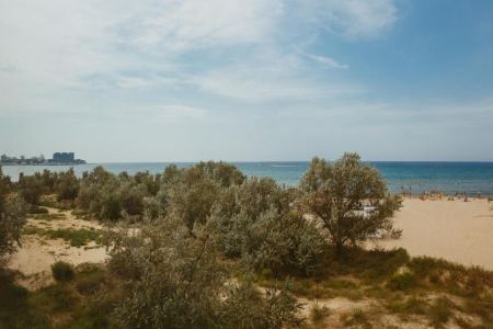 Территория