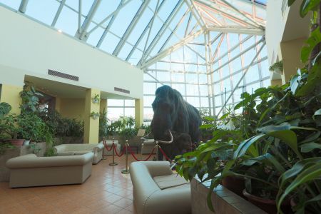 Внешний вид