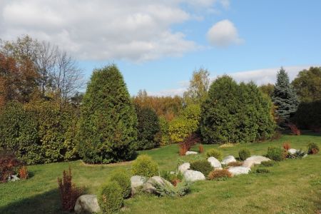 Территория осень