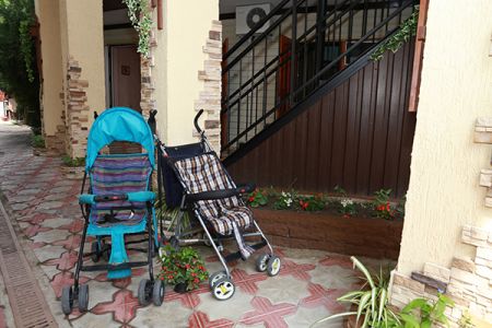 Внешний вид