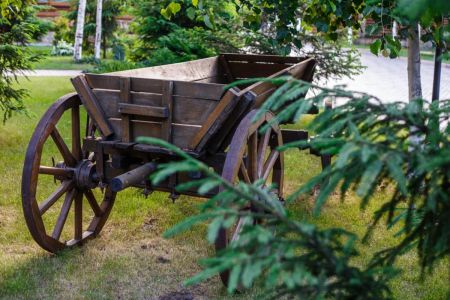 Внешний вид