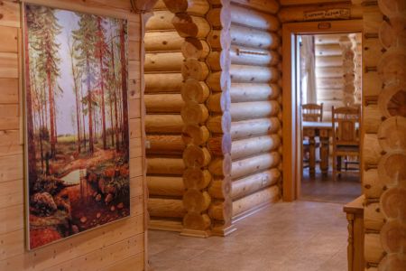 Внешний вид