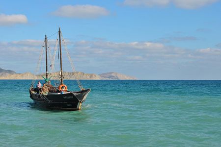 Внешний вид коттеджей.Территория