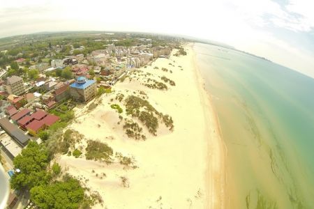 Внешний вид