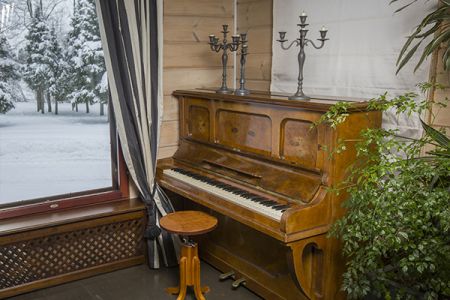 Внешний вид