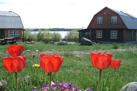 Территория