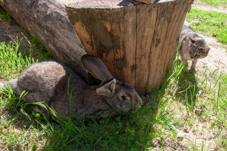 Территория