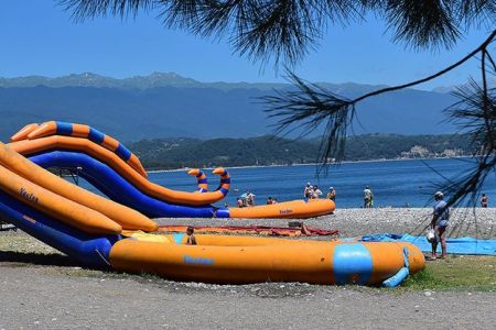 Внешний вид