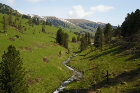 Внешний вид