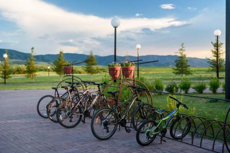 Внешний вид