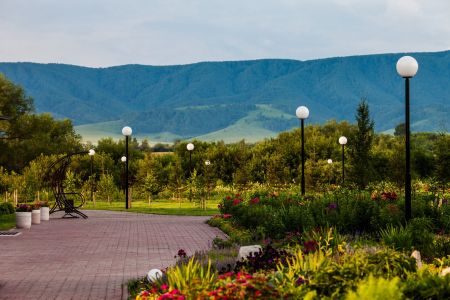 Внешний вид