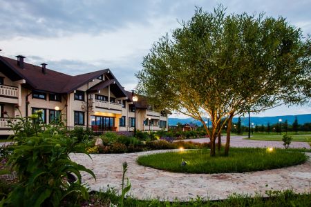 Внешний вид