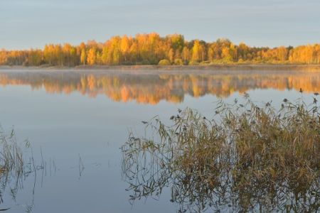 Дом студийного типа 4-местный №4