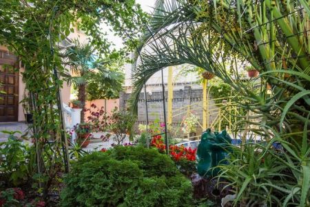 Внешний вид, территория