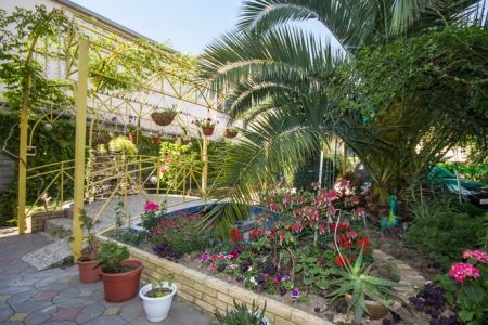 Внешний вид, территория