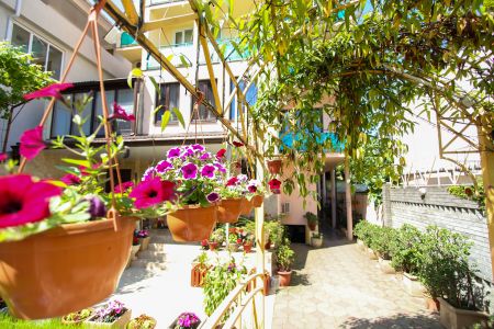 Внешний вид, территория