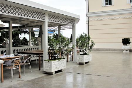 Внешний вид