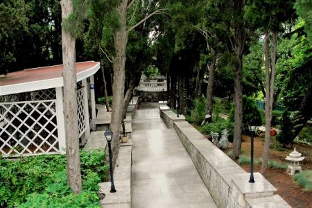 Внешний вид