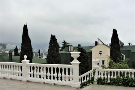 Внешний вид