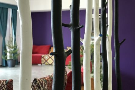 Внешний вид