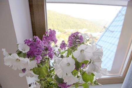 СТАНДАРТНЫЙ 2-МЕСТНЫЙ 1-КОМНАТНЫЙ