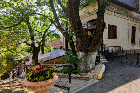 Внешний вид