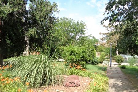 Внешний вид. Корпус