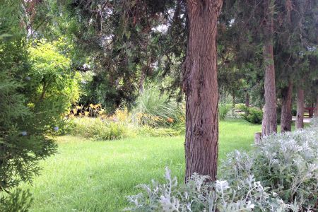 Внешний вид. Корпус