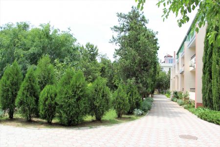 Внешний вид. Корпус