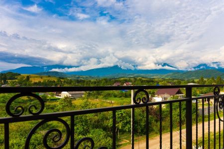 Внешний вид