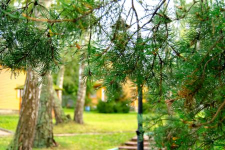 Коттедж внешний вид