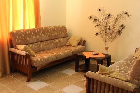 Внешний вид