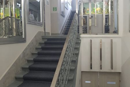 Внешний вид