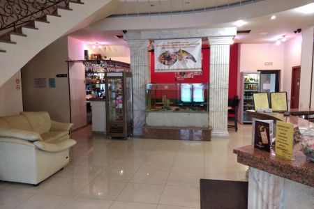 Внешний вид