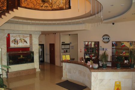 Внешний вид