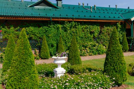 Внешний вид