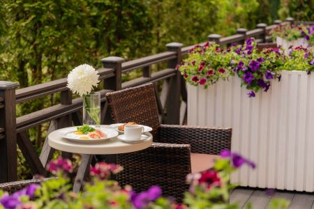 Внешний вид