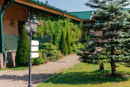 Внешний вид