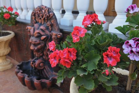 Внешний вид. Корпус