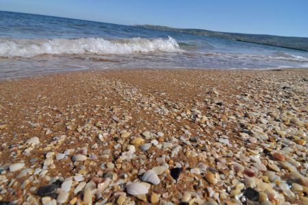 Внешний вид. Корпус