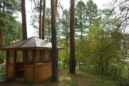 Внешний вид