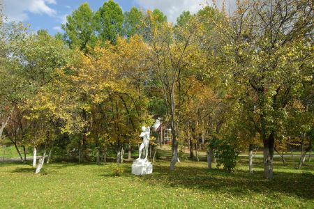 Внешний вид