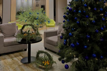 Внешний вид