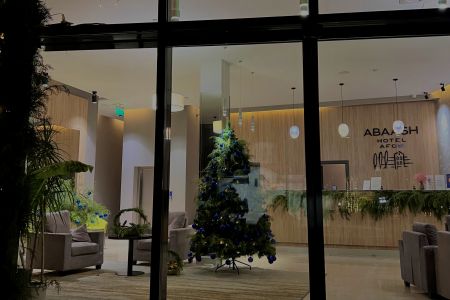 Внешний вид