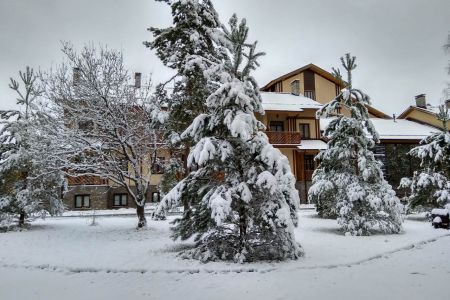 Внешний вид