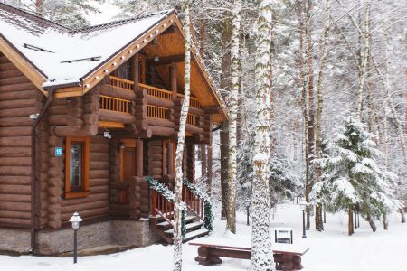 Внешний вид