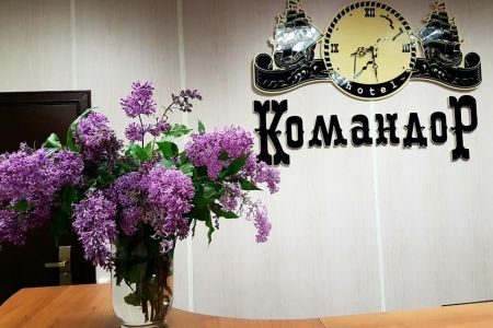 Внешний вид